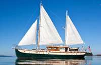 William Hand motor sailor